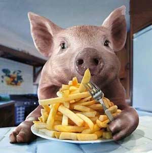 Ради еды живут только свиньи.