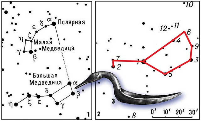 Славяно-Арийская Астрология