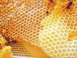 Применение пчелиного воска в народной медицине