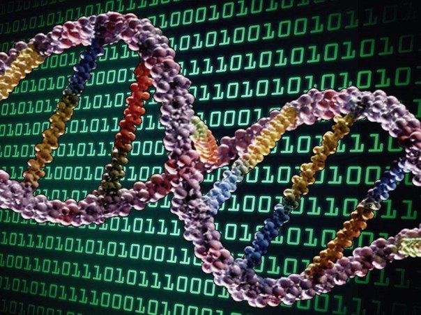 Каким ключом открывается ДНК?